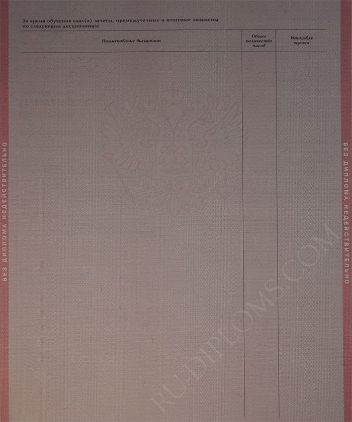 Диплом техникума или колледжа 2004-2006 год 