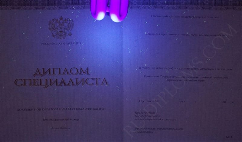 Диплом специалиста 2014-2026 НОВОГО ОБРАЗЦА Киржач